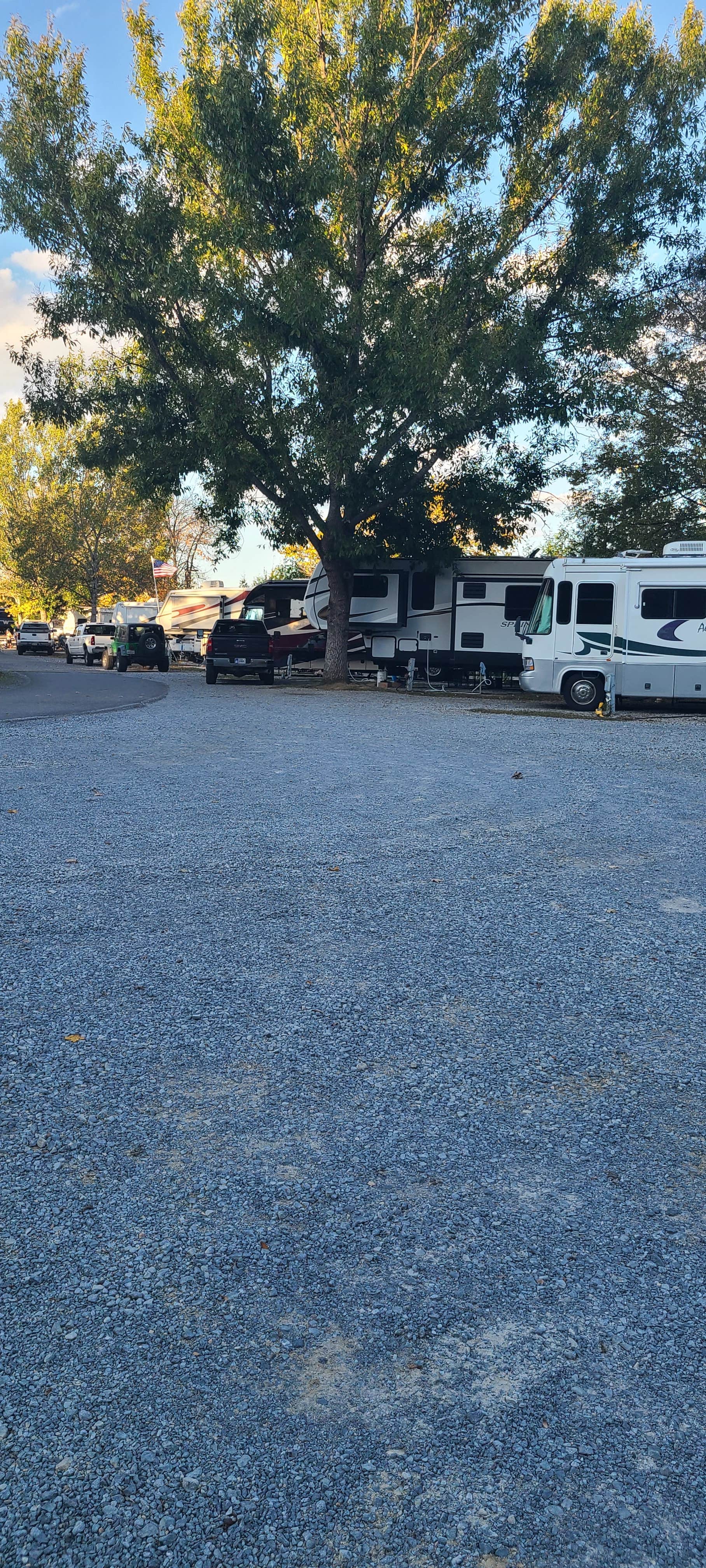 Cat R.'s photo of rv camping at Kings Holly Haven RV Park near Gatlinburg, TN