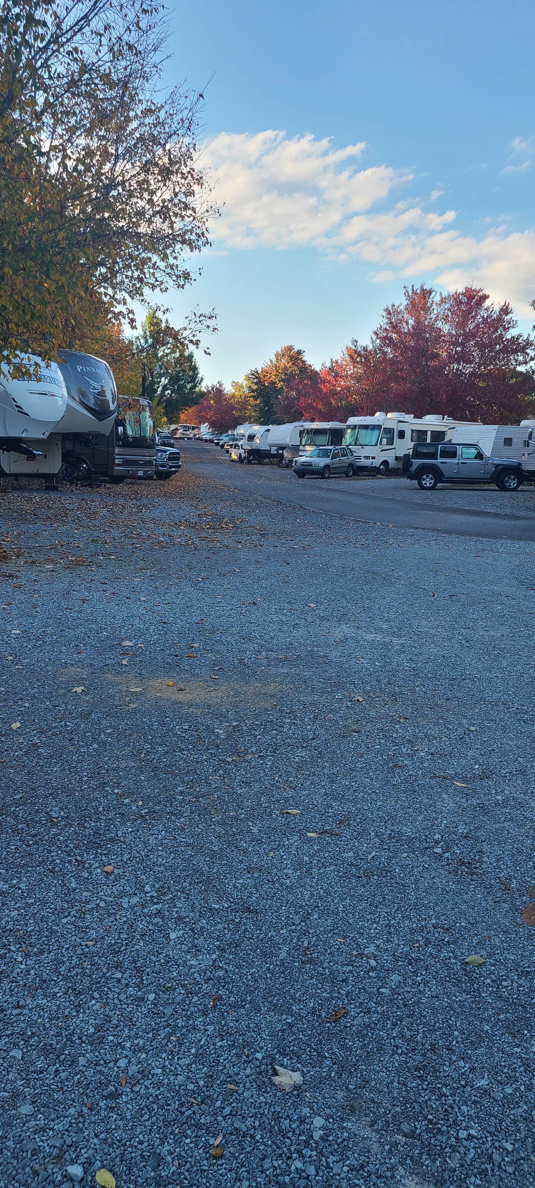 Cat R.'s photo of rv camping at Kings Holly Haven RV Park near Townsend, TN