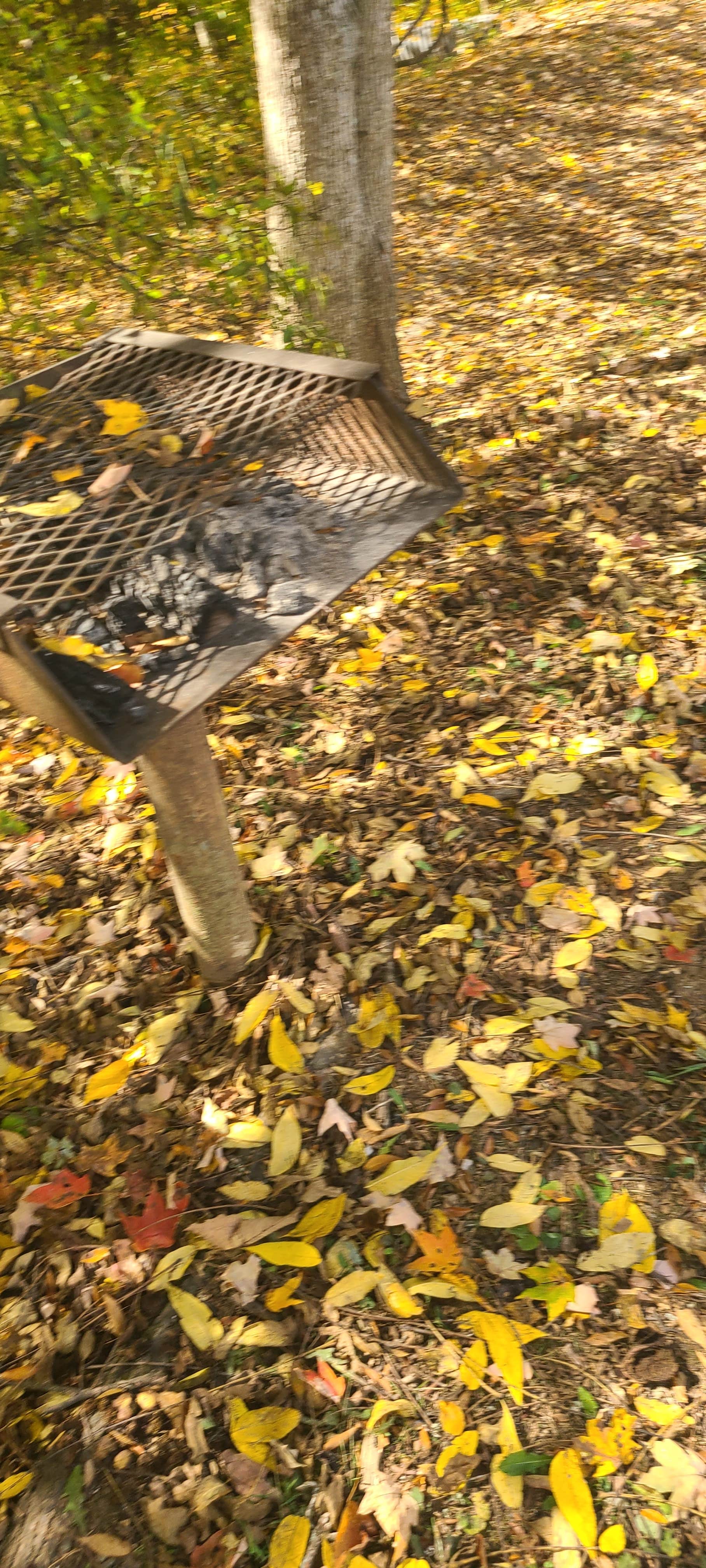 Camper-submitted photo at Kings Holly Haven RV Park near Gatlinburg, TN