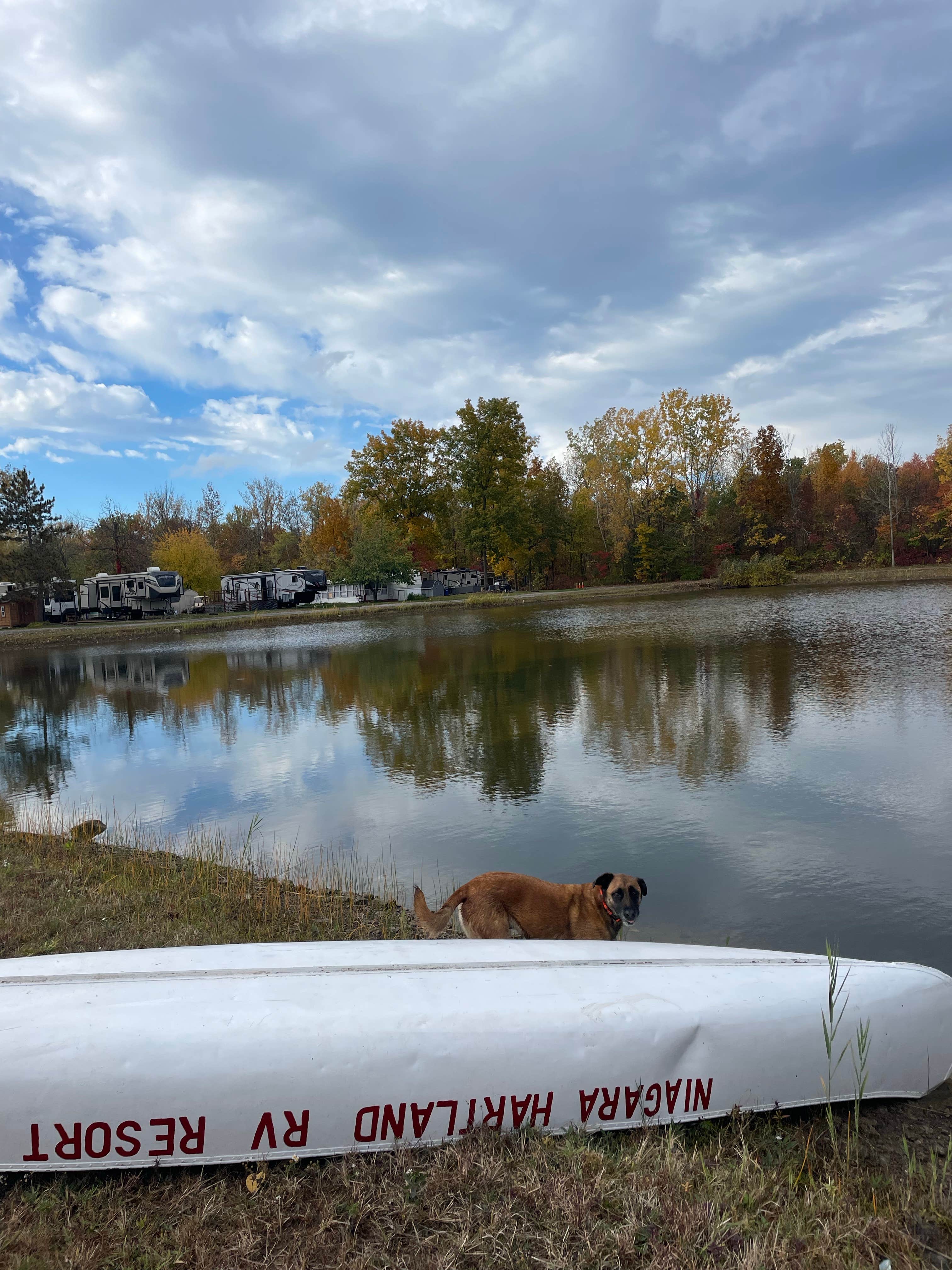 Camping near KOA Campground Medina Wildwood Lake: Niagara Hartland RV Resort, Barker, New York