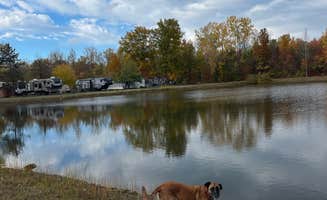 Bella S.'s photo of camping with pets at Niagara Hartland RV Resort near Darien Center, NY
