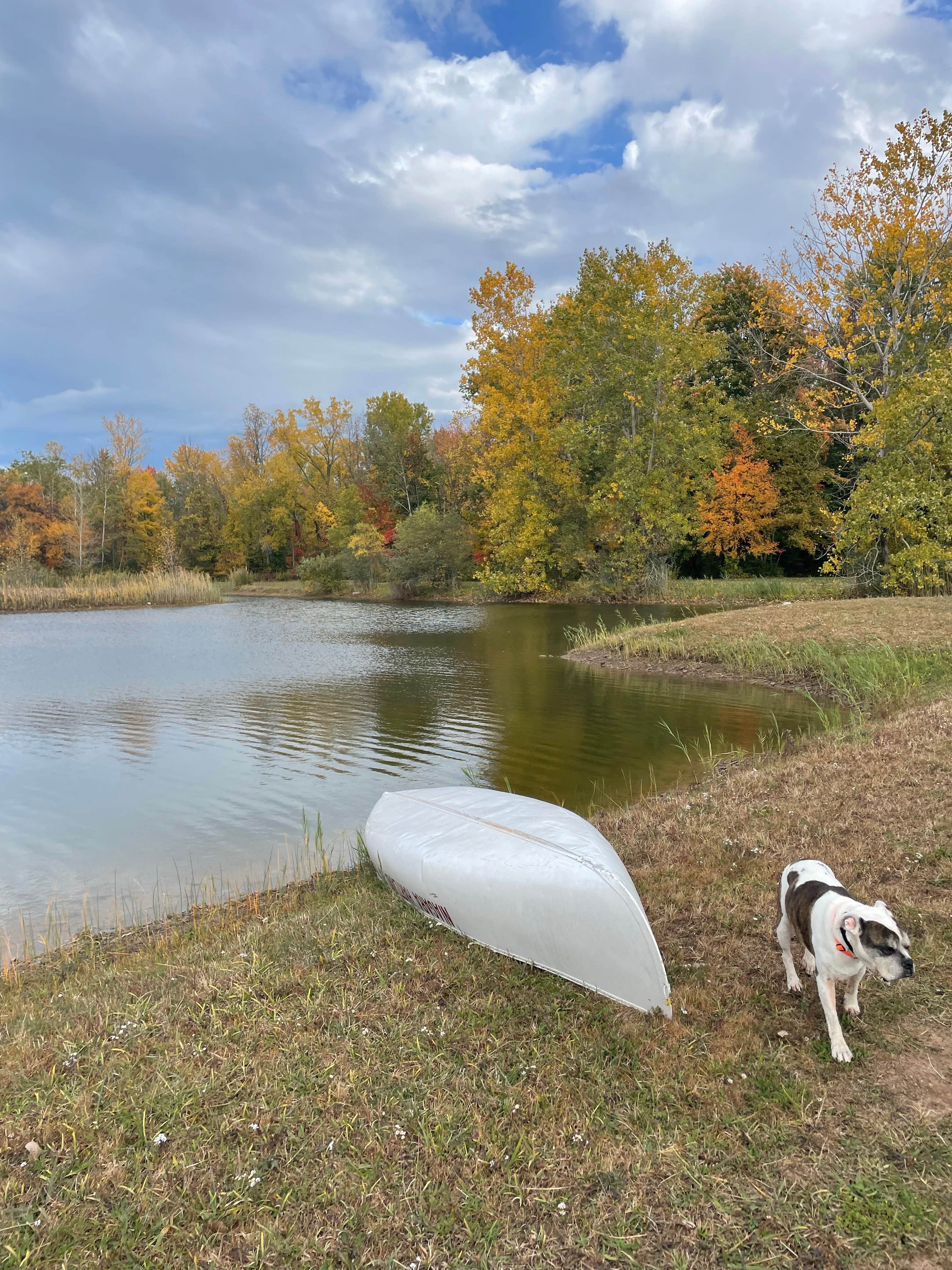 Camper submitted image from Niagara Hartland RV Resort - 3