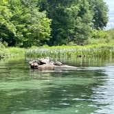 Review photo of Ichetucknee Family Canoe and Cabins by ashley , October 14, 2022