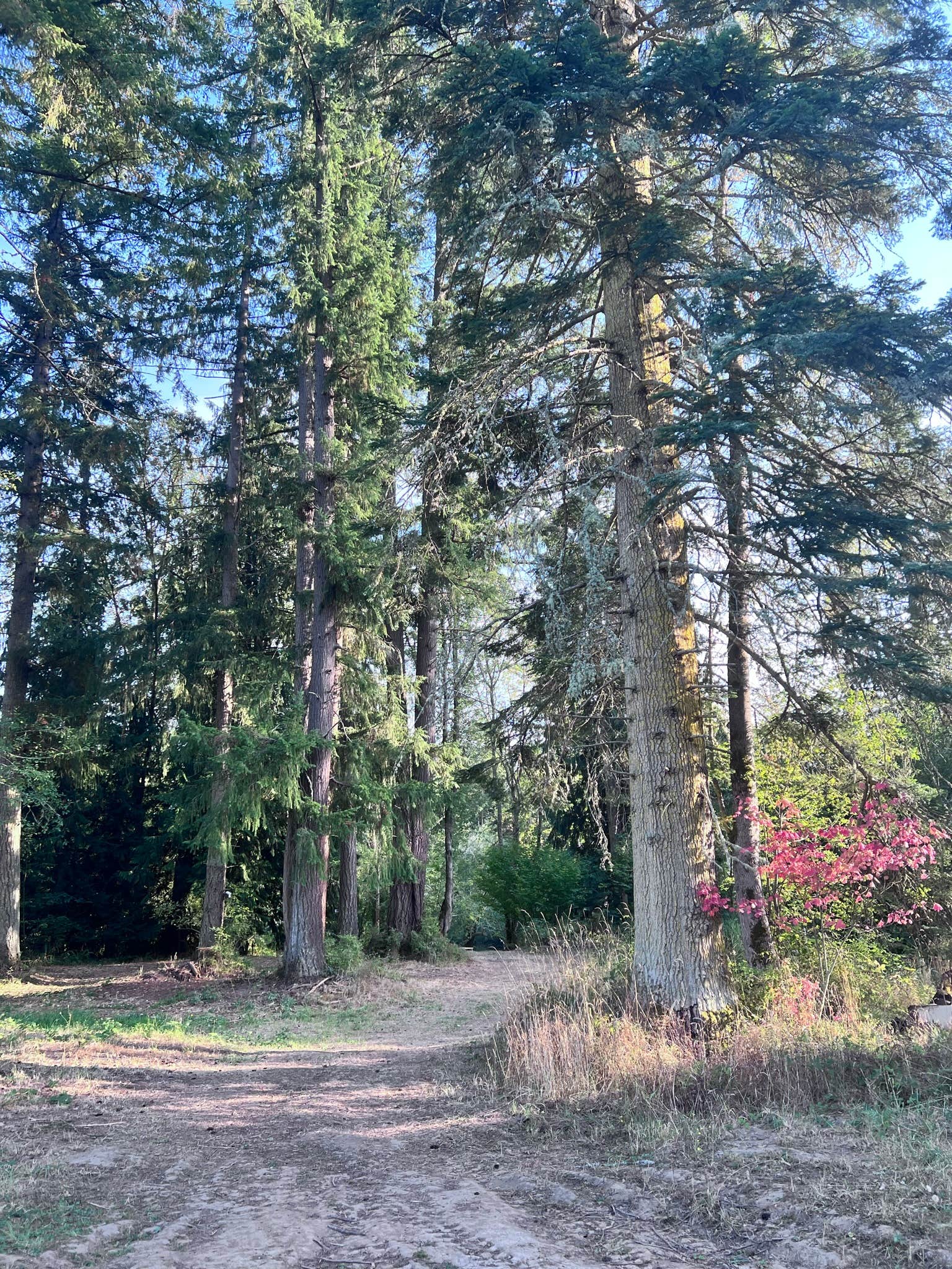 Deschutes Acres Camping Yelm, WA
