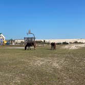 Review photo of Assateague State Park Campground by Matt , October 14, 2022