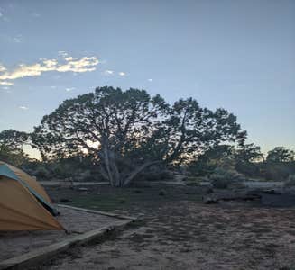 Camper-submitted photo from Natural Bridges Campground
