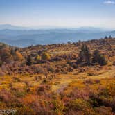 Review photo of Hickory Ridge Campground — Grayson Highlands State Park by Frances , October 14, 2022