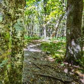 Review photo of Hickory Ridge Campground — Grayson Highlands State Park by Frances , October 14, 2022