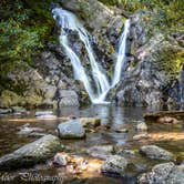 Review photo of Hickory Ridge Campground — Grayson Highlands State Park by Frances , October 14, 2022