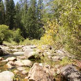 Review photo of Wawona Campground — Yosemite National Park by Denise G., September 7, 2018