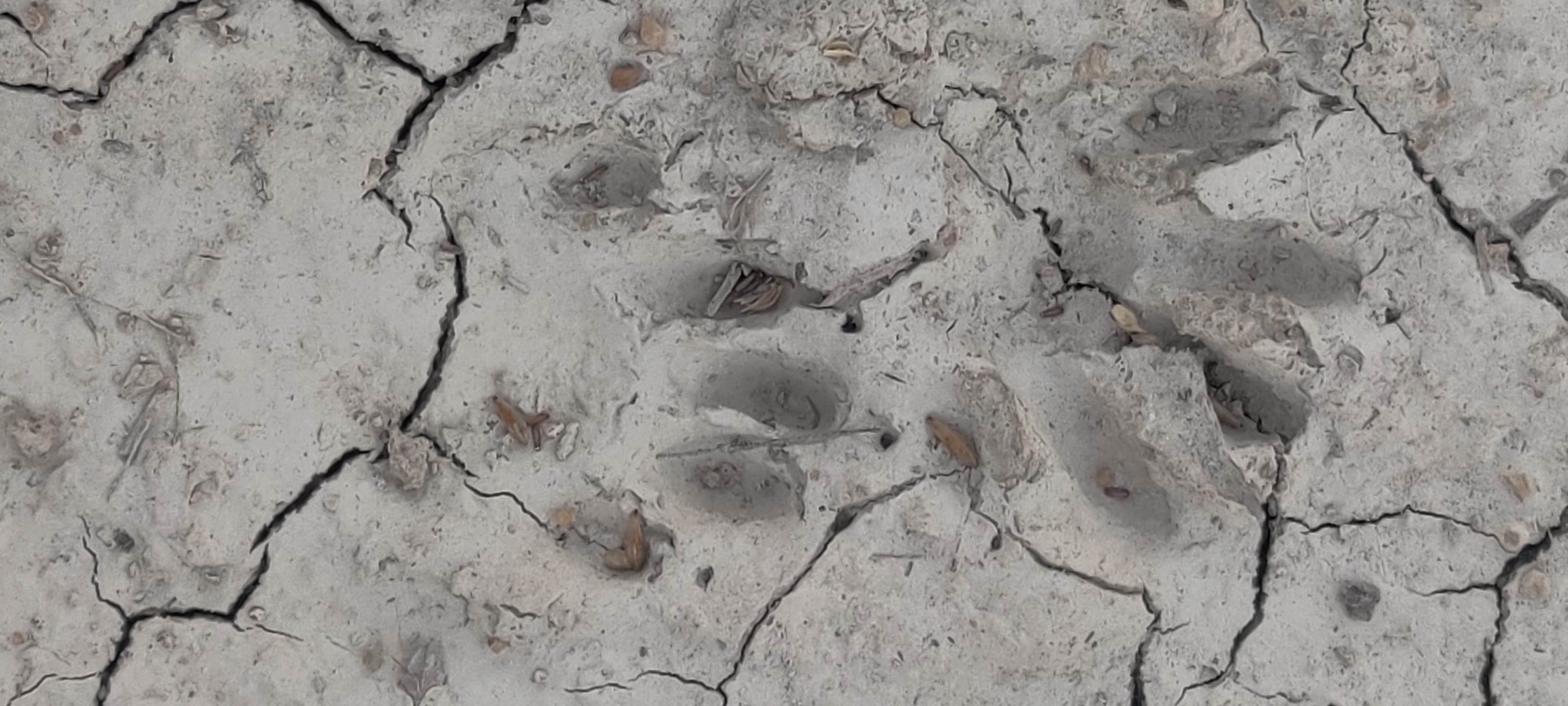 Camper-submitted photo at McPherson State Fishing Lake near McPherson, KS