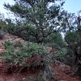 Review photo of Red Canyon Park by DeAnn M., October 14, 2022