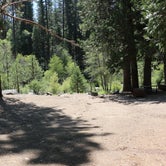 Review photo of Wawona Campground — Yosemite National Park by Denise G., September 7, 2018