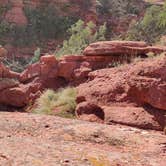 Review photo of Red Canyon Park by DeAnn M., October 14, 2022