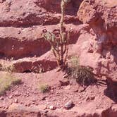 Review photo of Red Canyon Park by DeAnn M., October 14, 2022