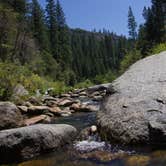 Review photo of Wawona Campground — Yosemite National Park by Denise G., September 7, 2018