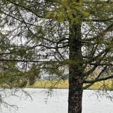 Review photo of Moose Creek RV Resort by Carol C., October 14, 2022