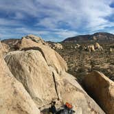 Review photo of Ryan Campground — Joshua Tree National Park by Leslie R., August 6, 2016