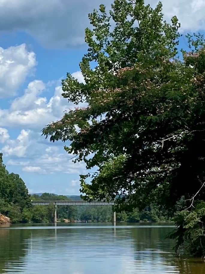 Camper-submitted photo at Wildwood Heart Farm near Statesville, NC