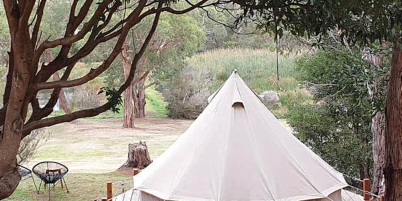 Camper submitted image from Wildwood Heart Farm