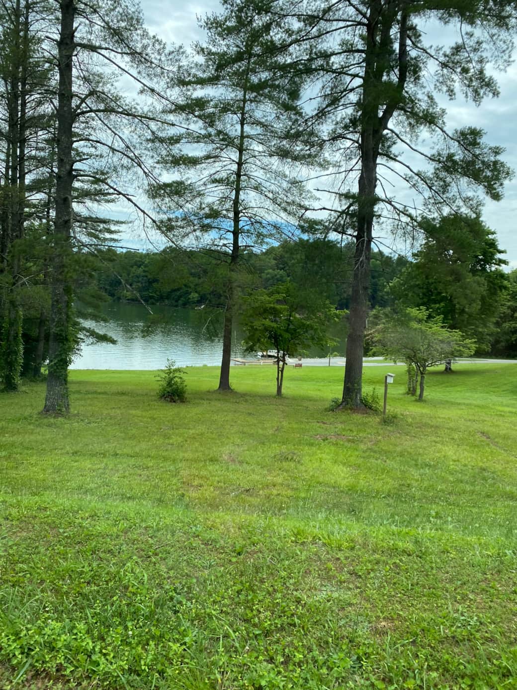 Camper-submitted photo at Wildwood Heart Farm near Statesville, NC