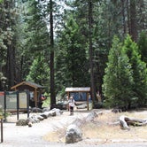 Review photo of Camp 4 — Yosemite National Park by Ashley L., September 7, 2018
