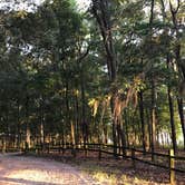 Review photo of Cypress View Campground — Santee State Park by Tracy F., September 7, 2018