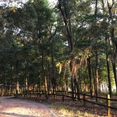 Review photo of Santee State Park Campground by Tracy F., September 7, 2018
