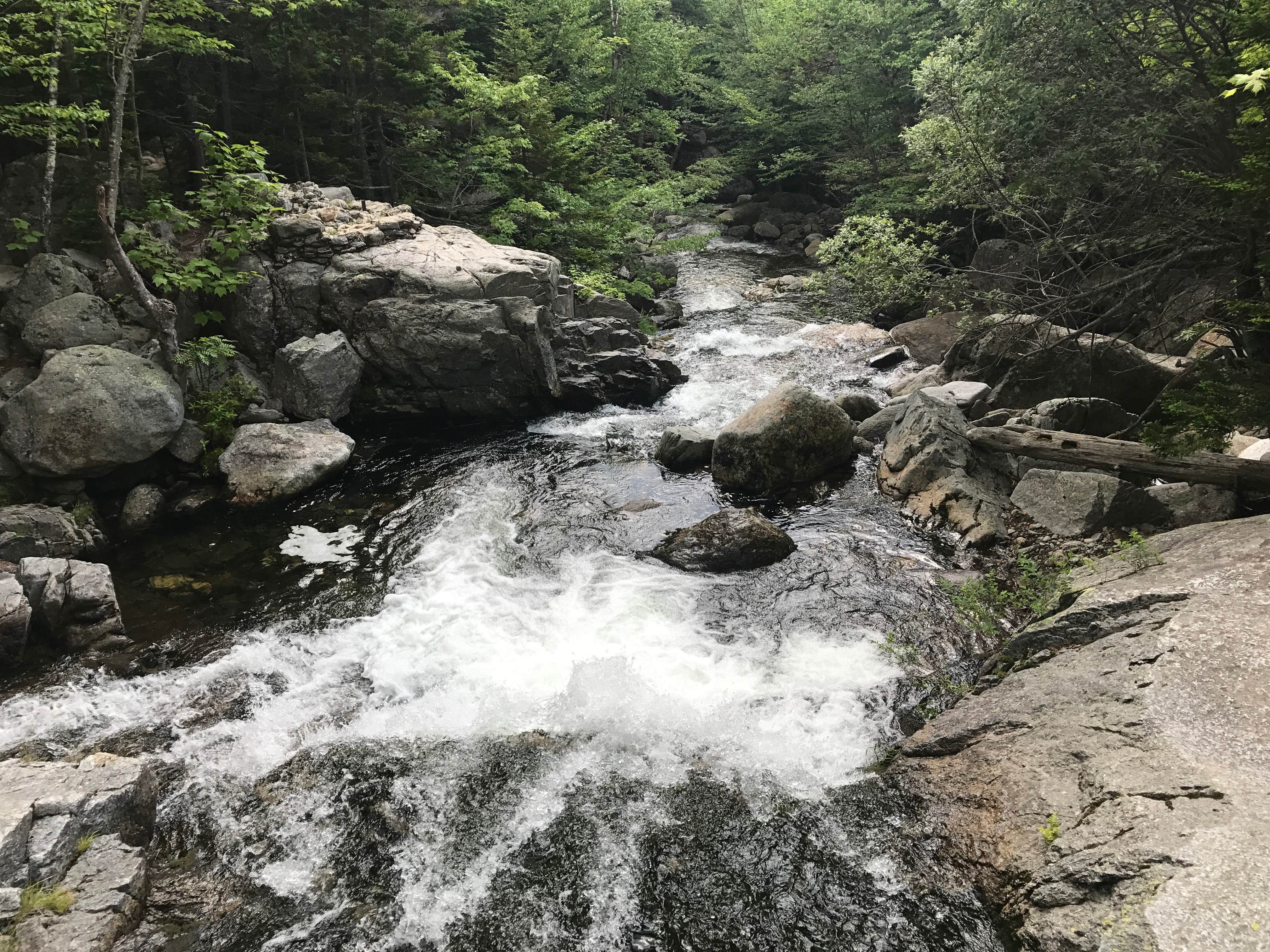 Camper submitted image from Country Bumpkins Campground and Cabins - 5