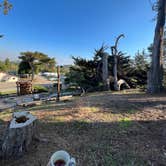 Review photo of San Simeon Creek Campground — Hearst San Simeon State Park by Care B., October 14, 2022