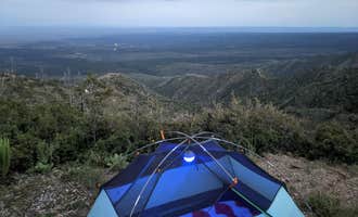 Camping near Manzano Mountains State Park Campground: Capilla Peak Campground, Cibola National Forest and National Grasslands, New Mexico