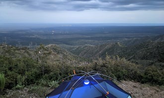 Camping near Manzano Mountain Retreat: Capilla Peak Campground, Cibola National Forest and National Grasslands, New Mexico