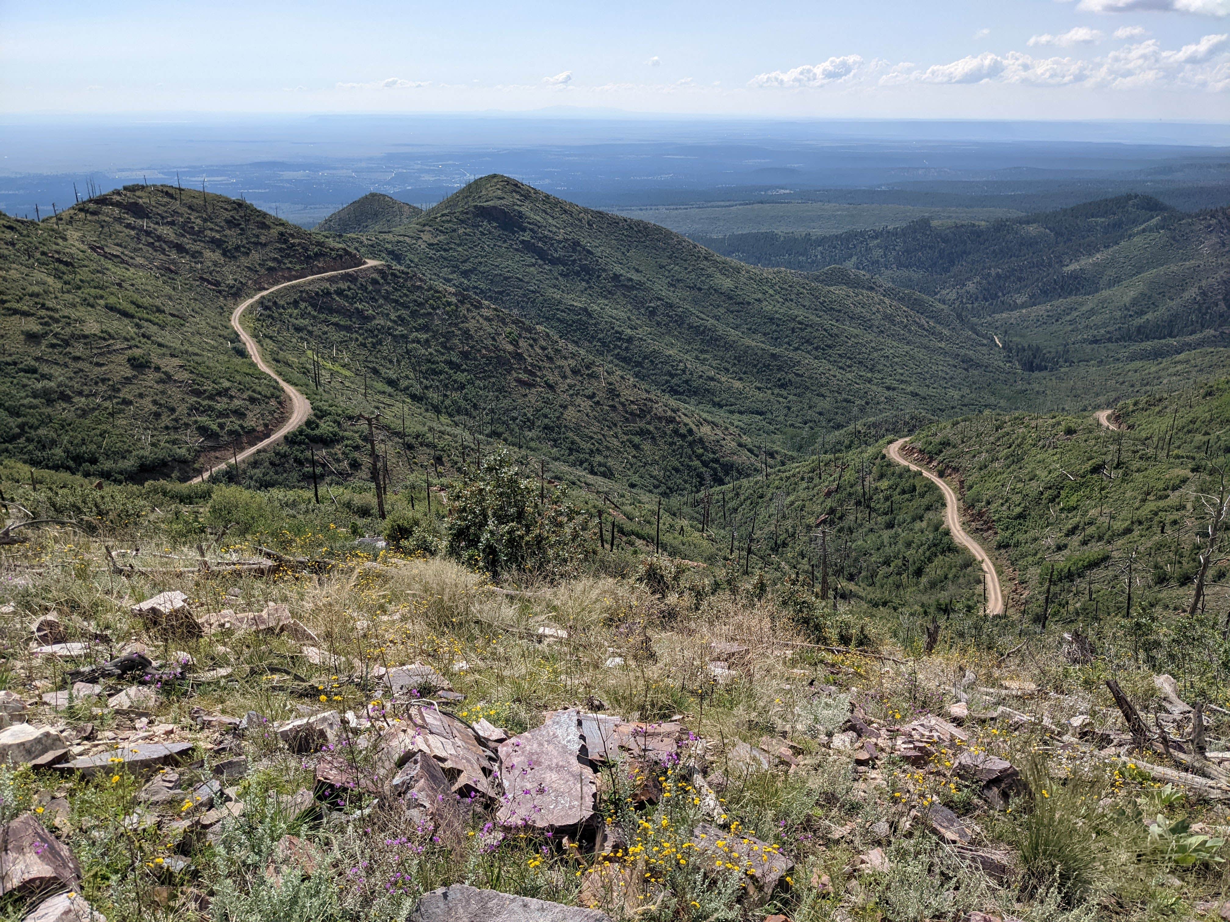 Camper-submitted photo at Capilla Peak Campground — Cibola National Forest And Grasslands near Mountainair, NM