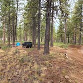 Review photo of NF 4610 Roadside Dispersed Camping by Paul B., October 15, 2022