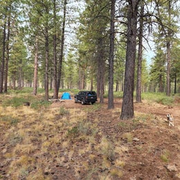 NF 4610 Roadside Dispersed Camping