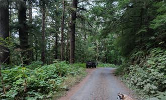 Camping near Cape Perpetua: Suislaw National Forest Dispersed Camping, Yachats, Oregon