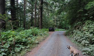 Camping near Siuslaw National Forest Blackberry Campground: Suislaw National Forest Dispersed Camping, Yachats, Oregon