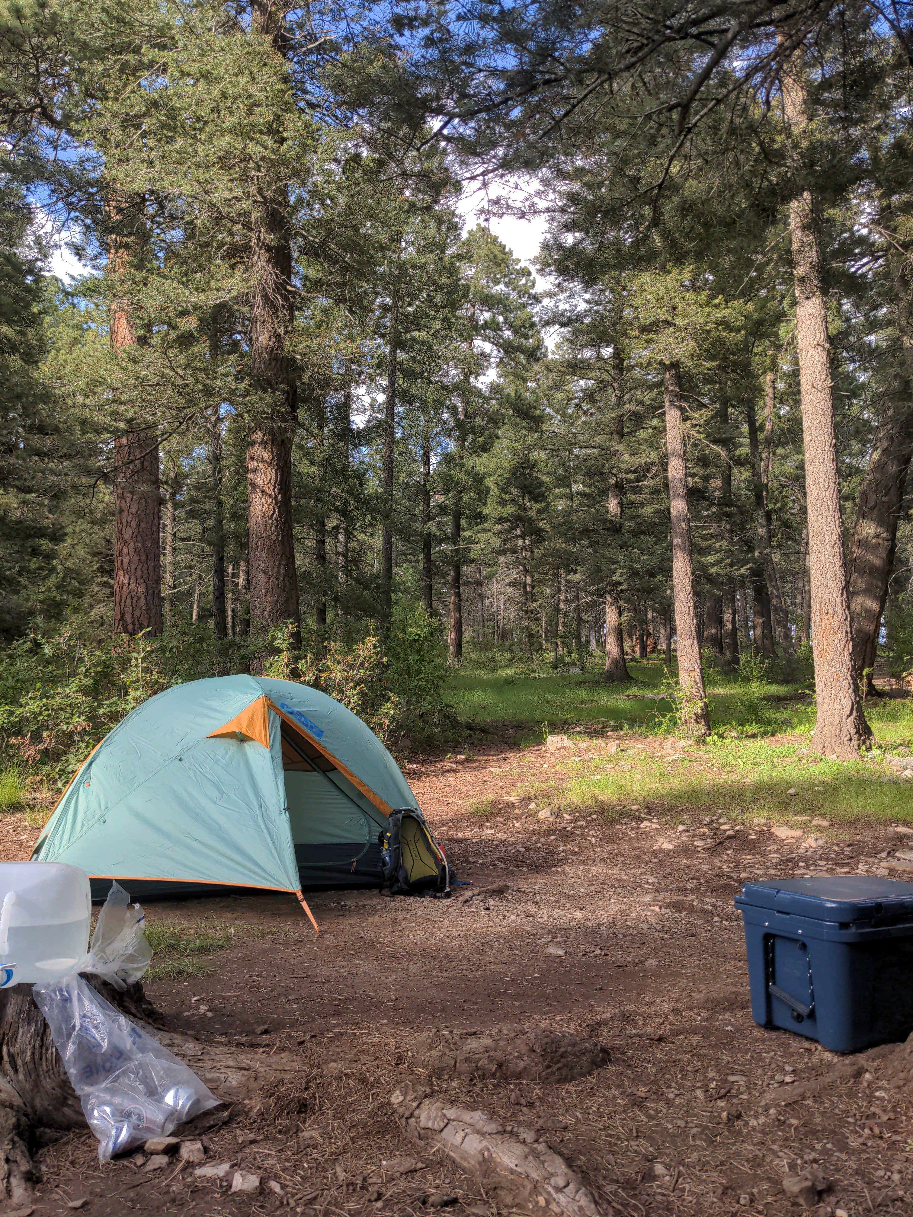 Camper-submitted photo at Forest Road 568 - Dispersed Camping near Alamogordo, NM