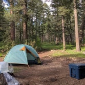 Review photo of Forest Road 568 - Dispersed Camping by Patrick B., October 15, 2022