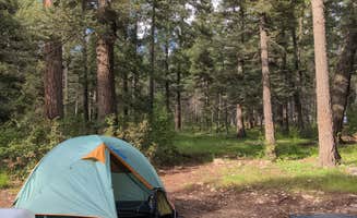 Patrick B.'s photo at Forest Road 568 - Dispersed Camping near Lincoln National Forest