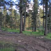 Review photo of Forest Road 568 - Dispersed Camping by Patrick B., October 15, 2022