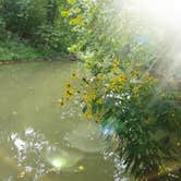 Review photo of Red River Gorge Campground by lindsay P., September 7, 2018