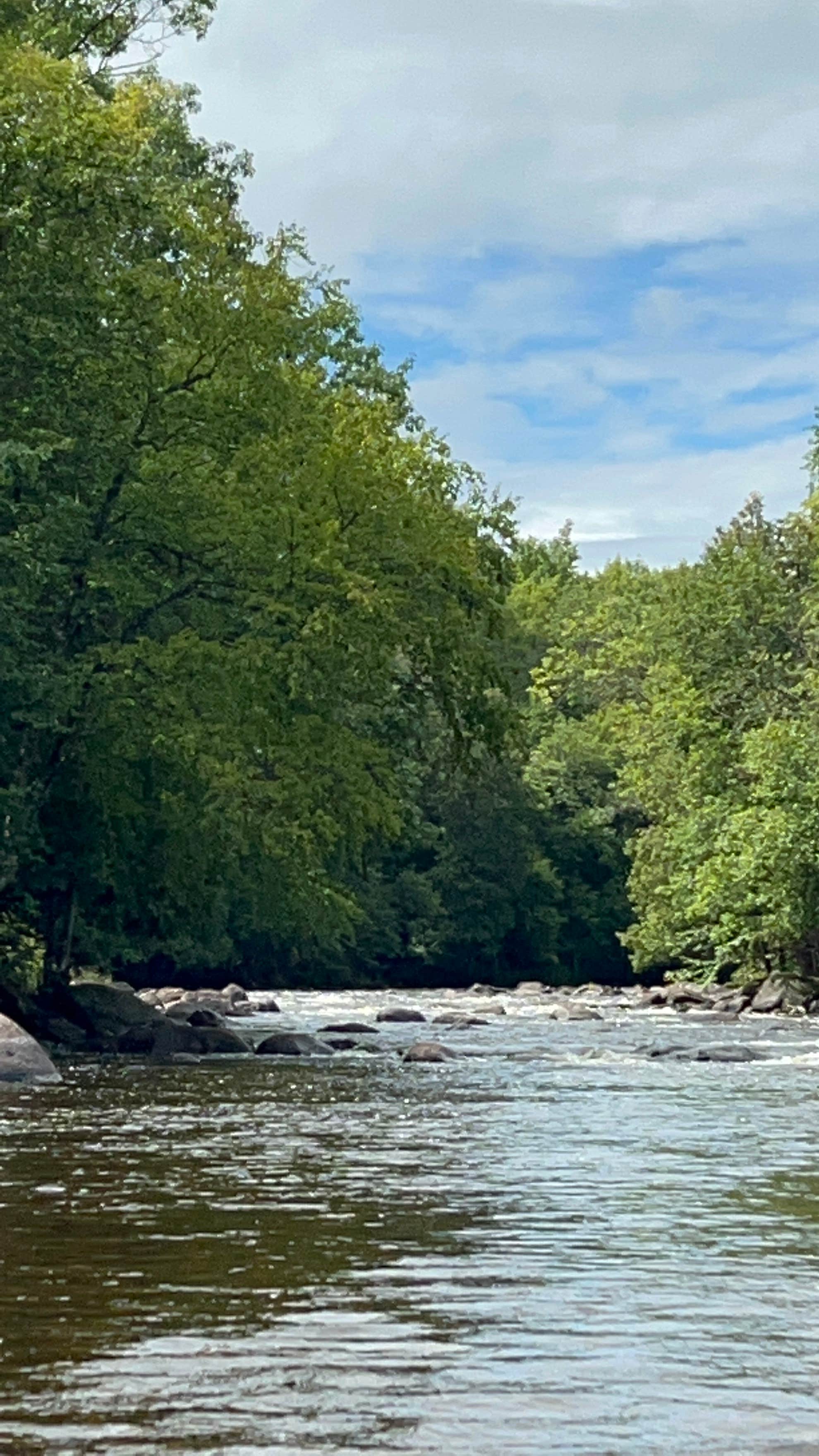 Camper-submitted photo at River Forest Campground and Outdoor  Retreats near Mountain, WI