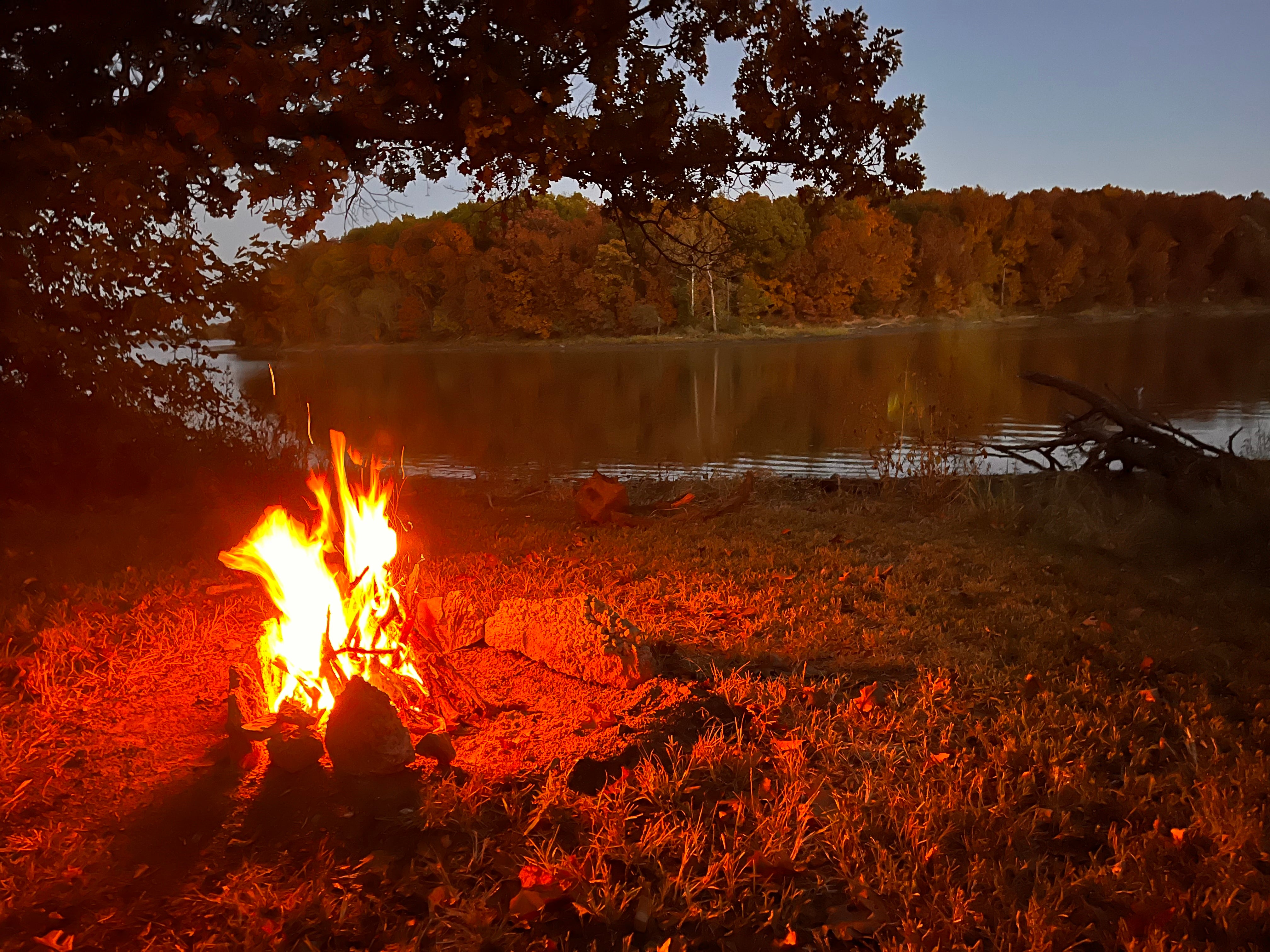 Camper submitted image from Montrose Missouri Conservation Area Dispersed Camping - 1
