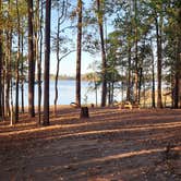 Review photo of Hamilton Branch State Park Campground by Kevin H., October 15, 2022