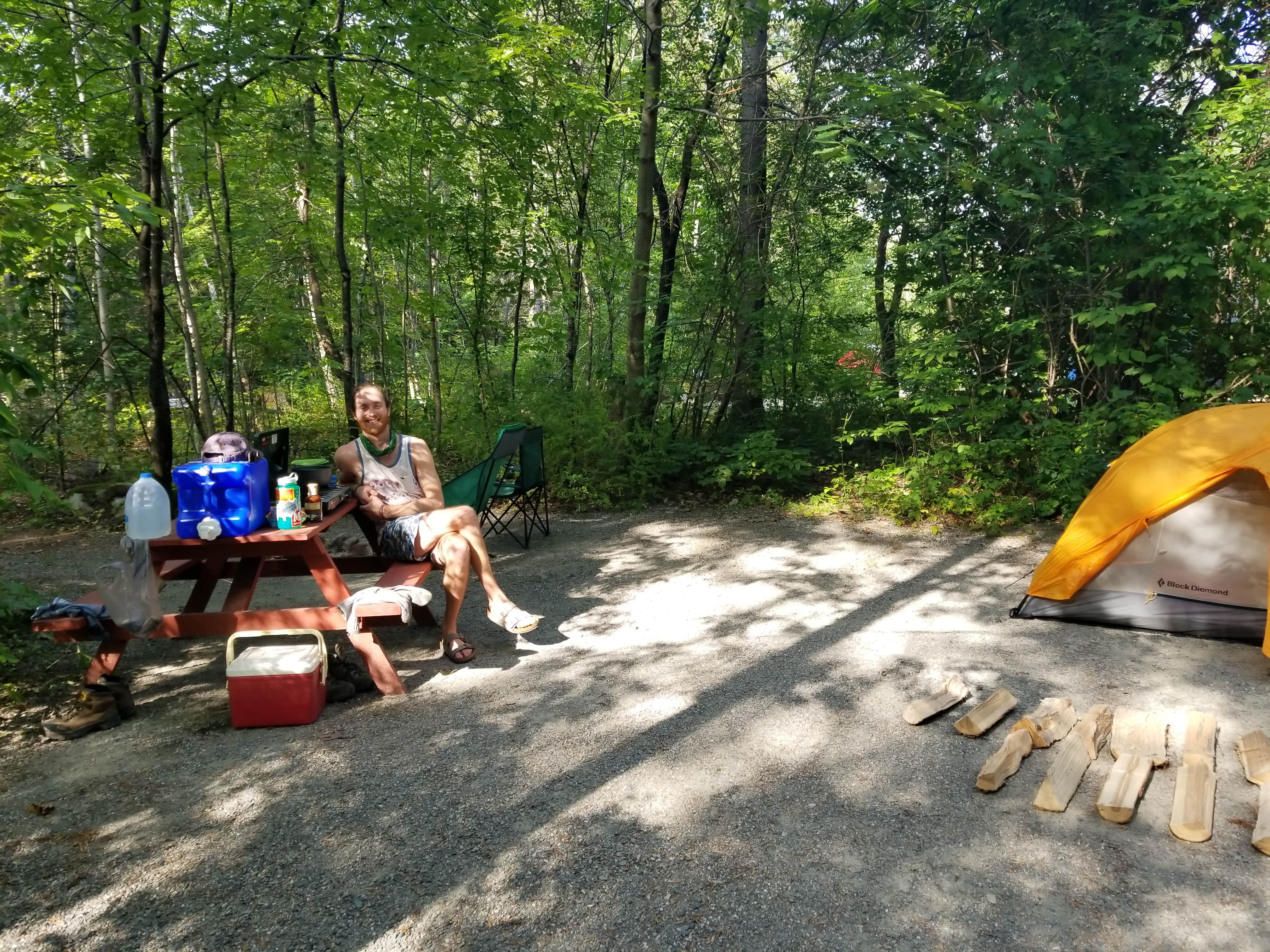 Camper submitted image from Hadley's Point Campground - 4