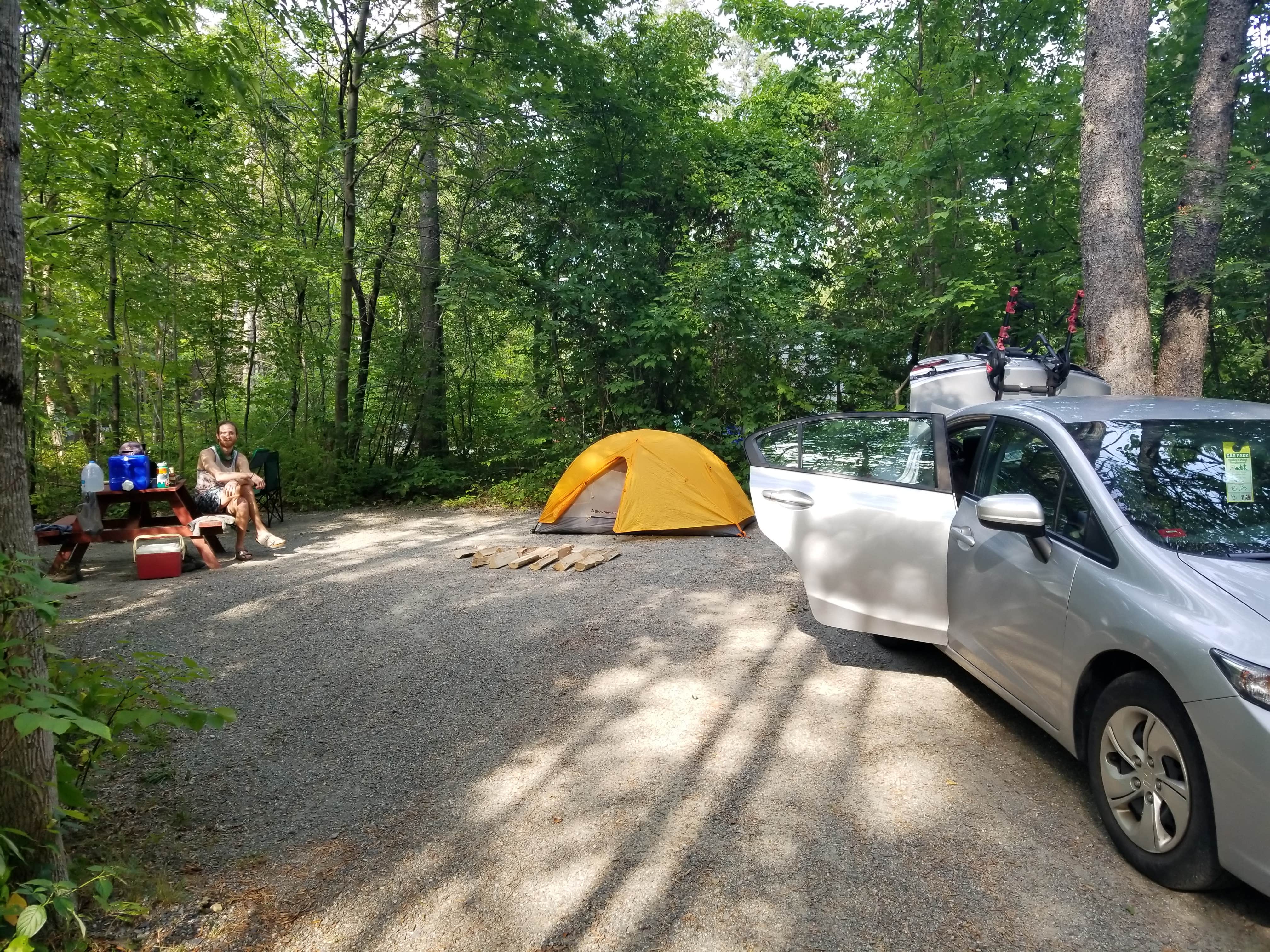 Camper submitted image from Hadley's Point Campground - 5