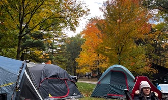 Camping near Stafford County Park Campground: Sleeper State Park Campground, Caseville, Michigan