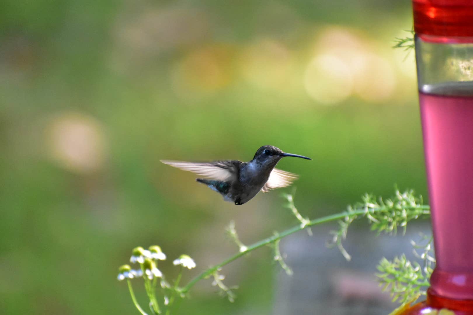 Camper-submitted photo at Harmonie State Park Campground in Indiana