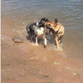 Review photo of Chatfield State Park Campground by Cassandra R., September 7, 2018